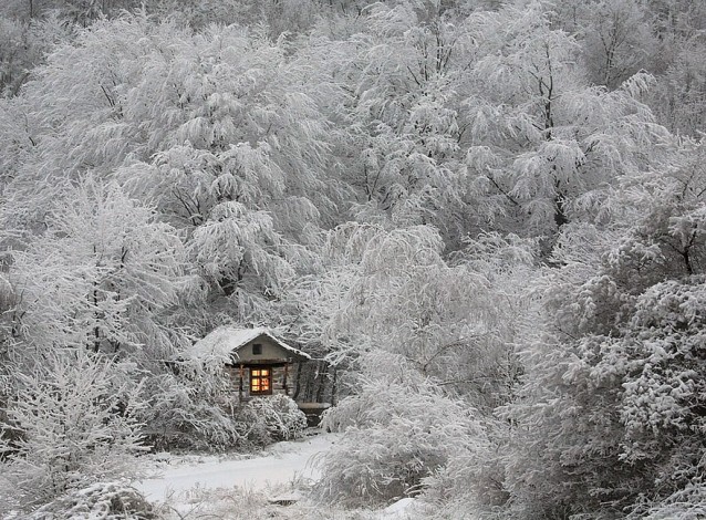 #4 Cabana de Inverno